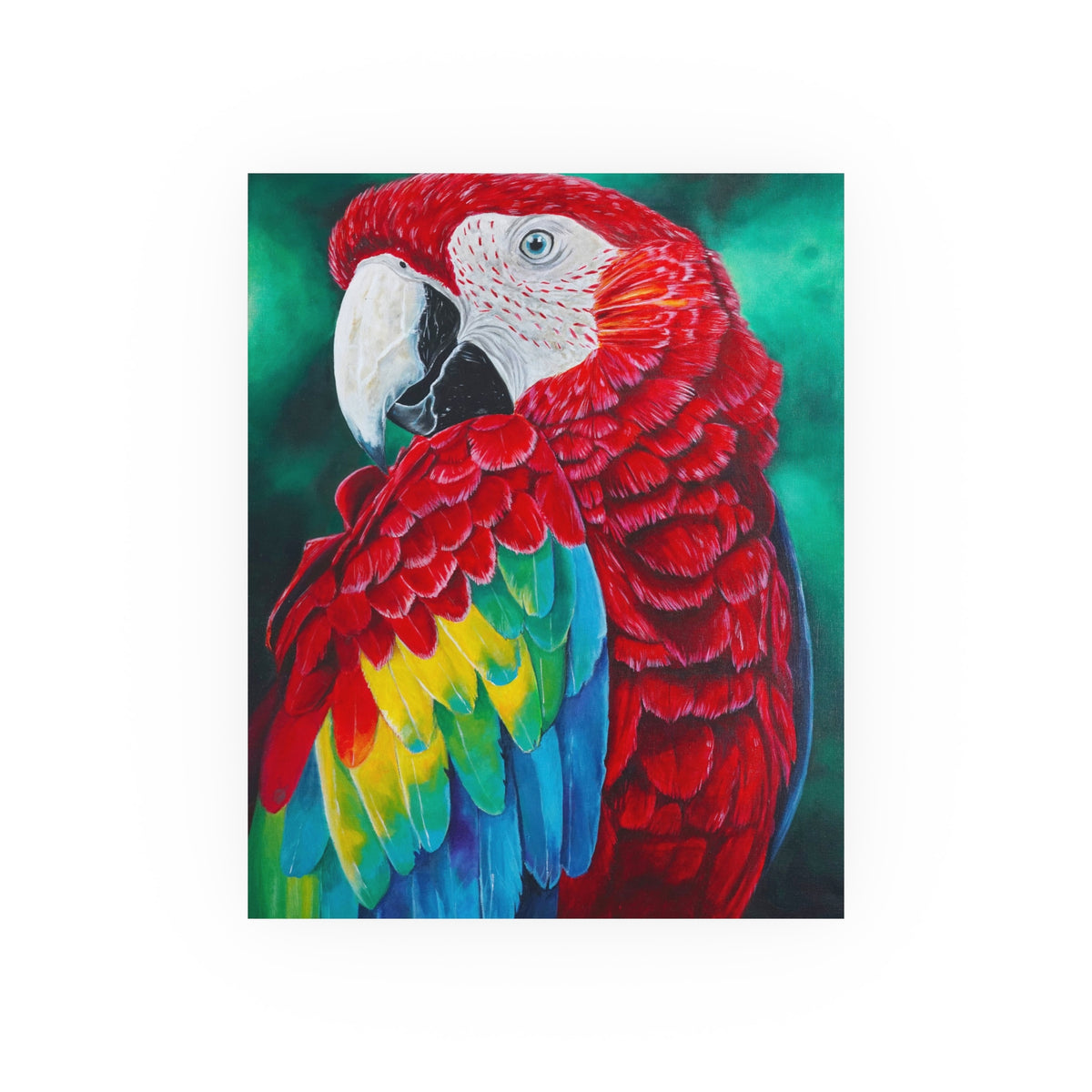 Scarlet Macaw Parrot Painting