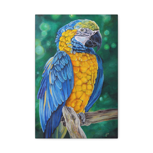 Parrot Macaw Canvas Print