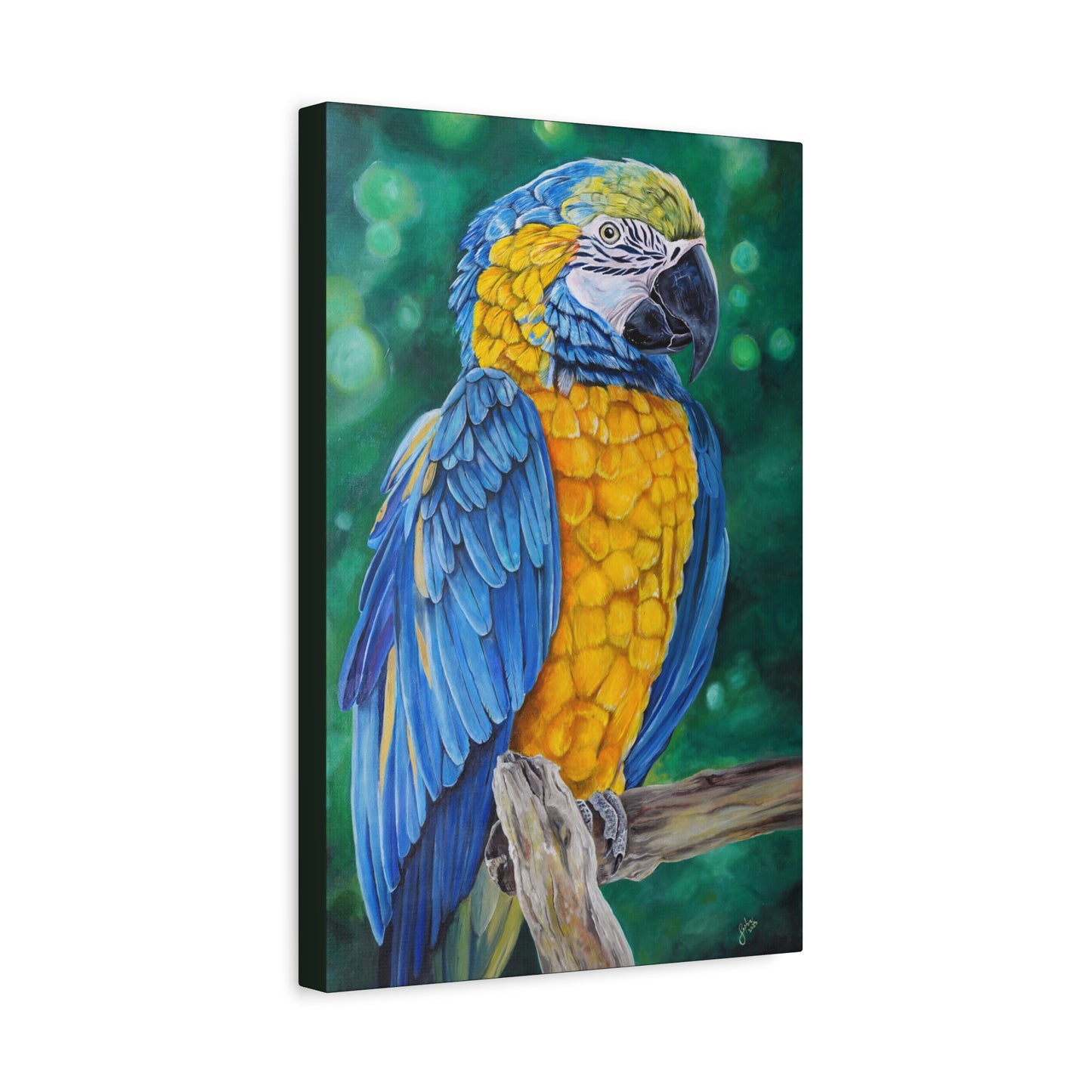 Parrot Macaw Canvas Print