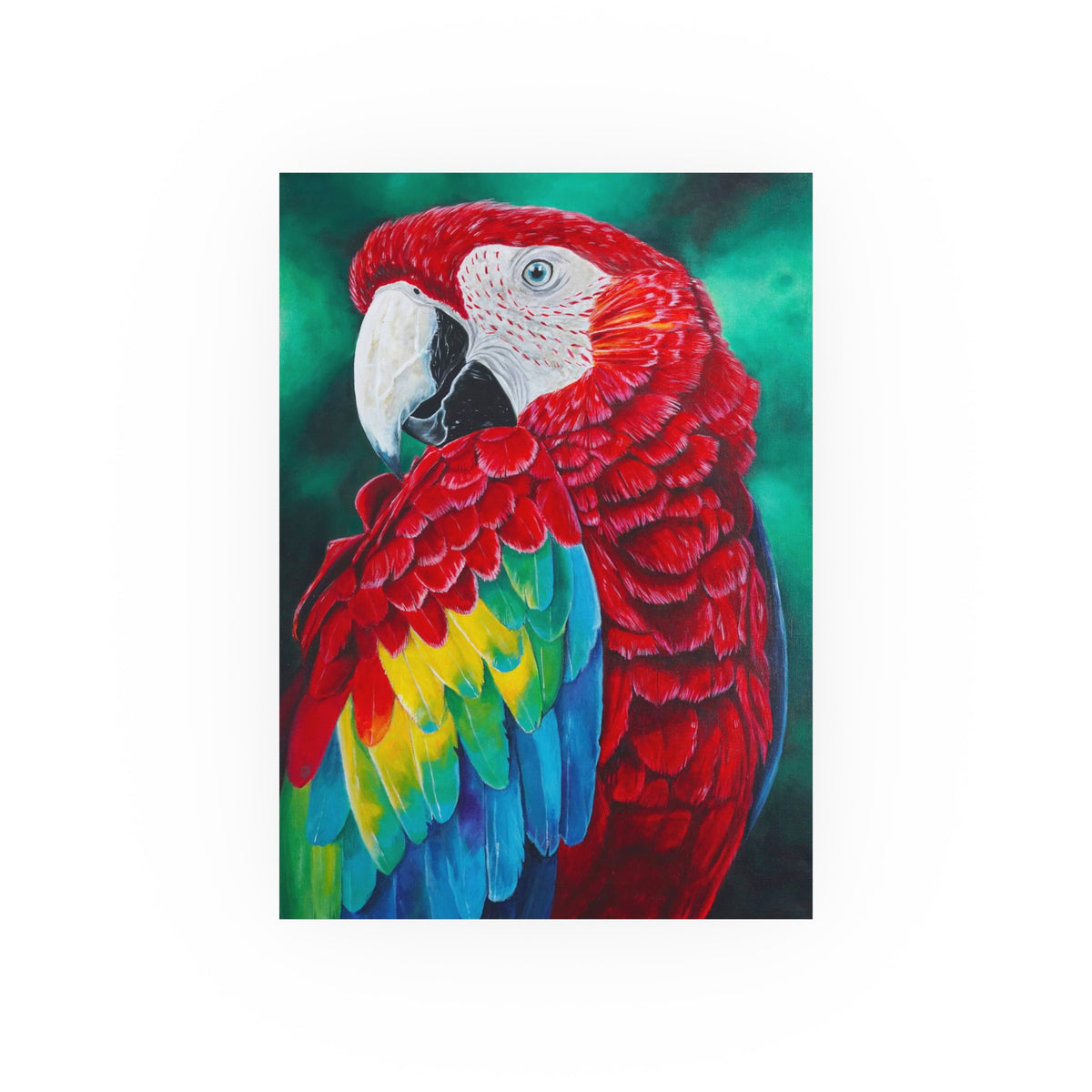 Scarlet Macaw Parrot Painting