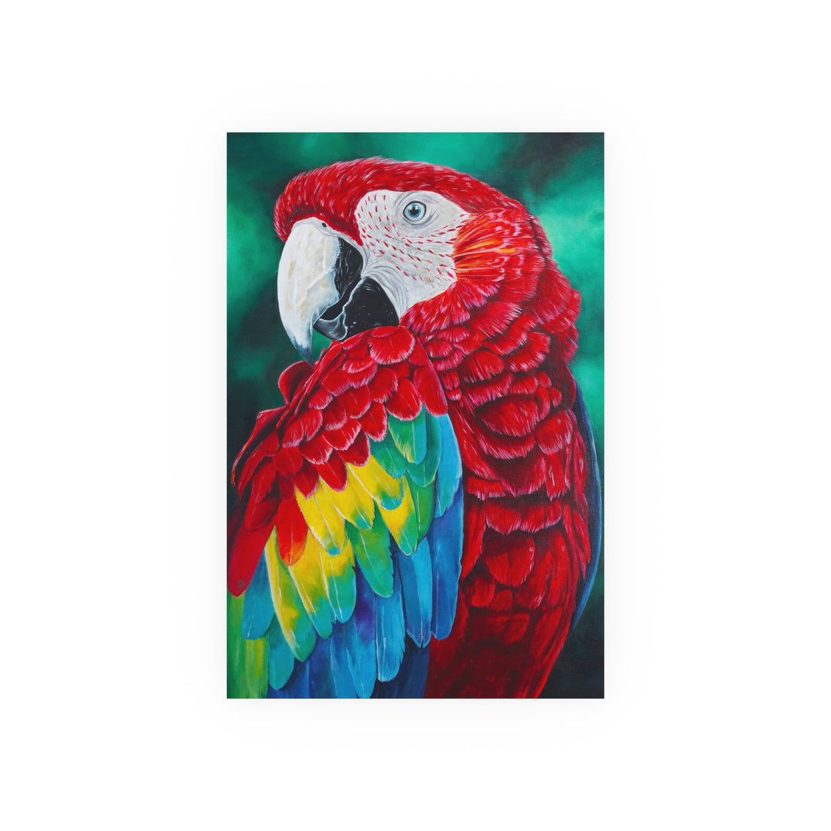 Scarlet Macaw Parrot Painting
