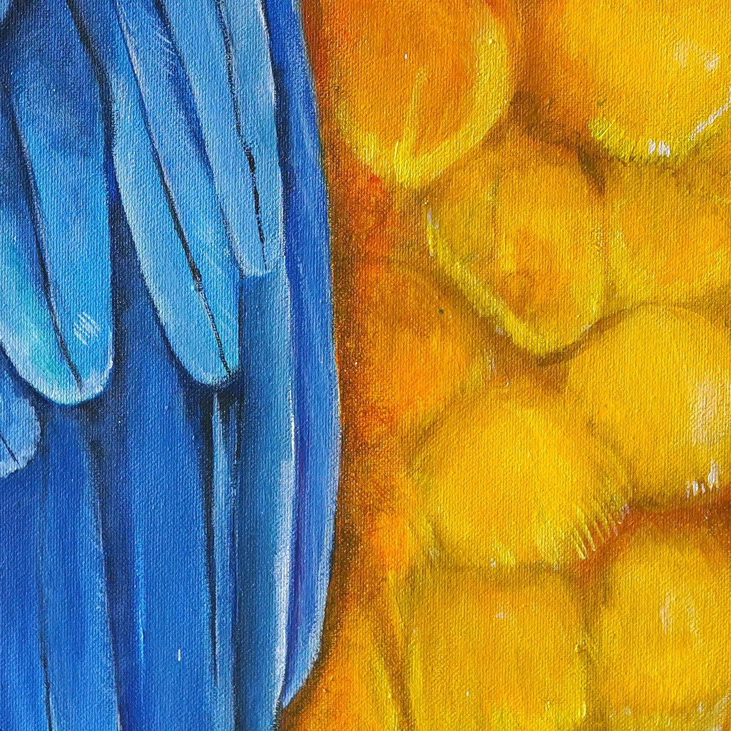 Parrot Macaw Canvas Print